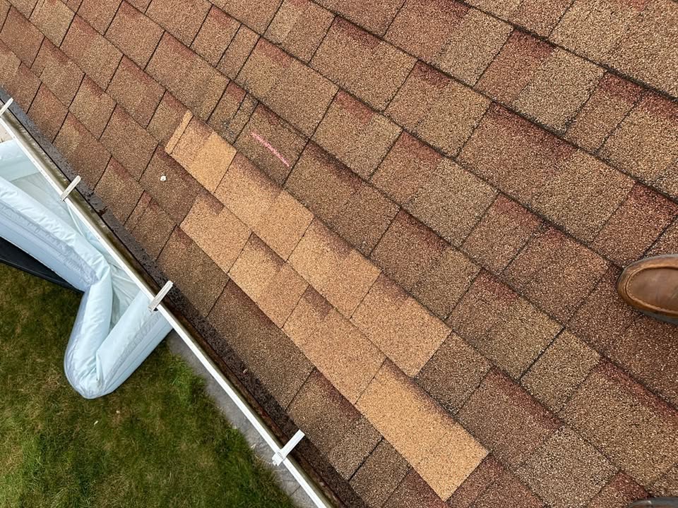 Close-up documentation of roof shingle damage